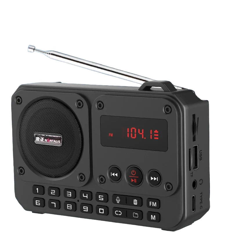 NNEOBA Mini Portable FM Radio Bluetooth Speaker Grey-0